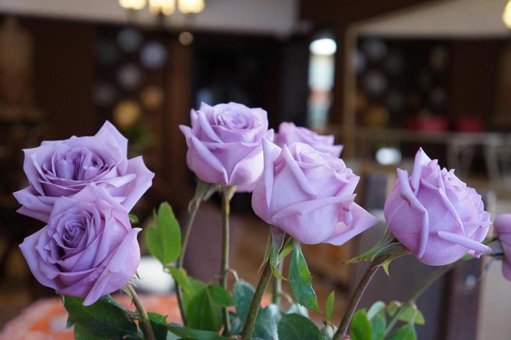 Don Ramon Hotel & Spa Canela Ngoại thất bức ảnh